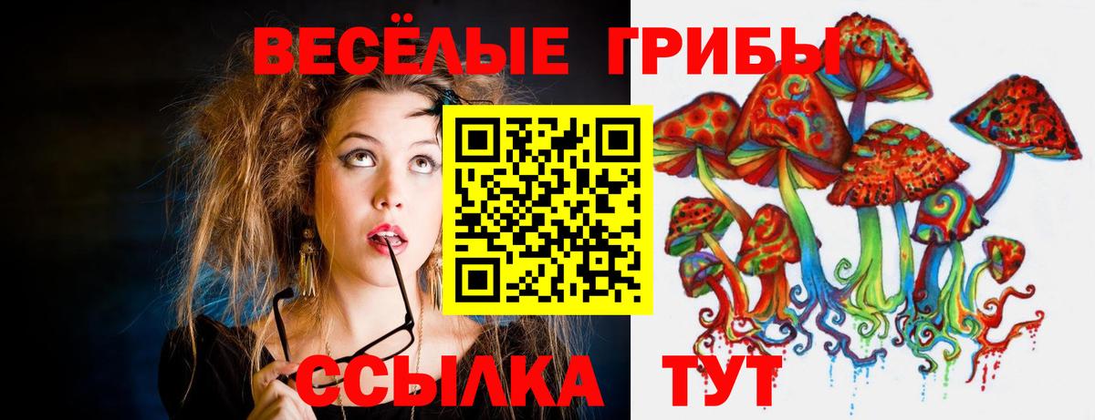 Псилоцибиновые грибы мицелий Воткинск
